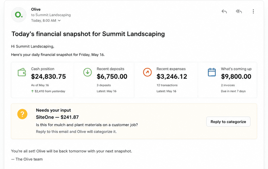 An Olive email with a daily financial snapshot and one transaction that needs the business owner’s input